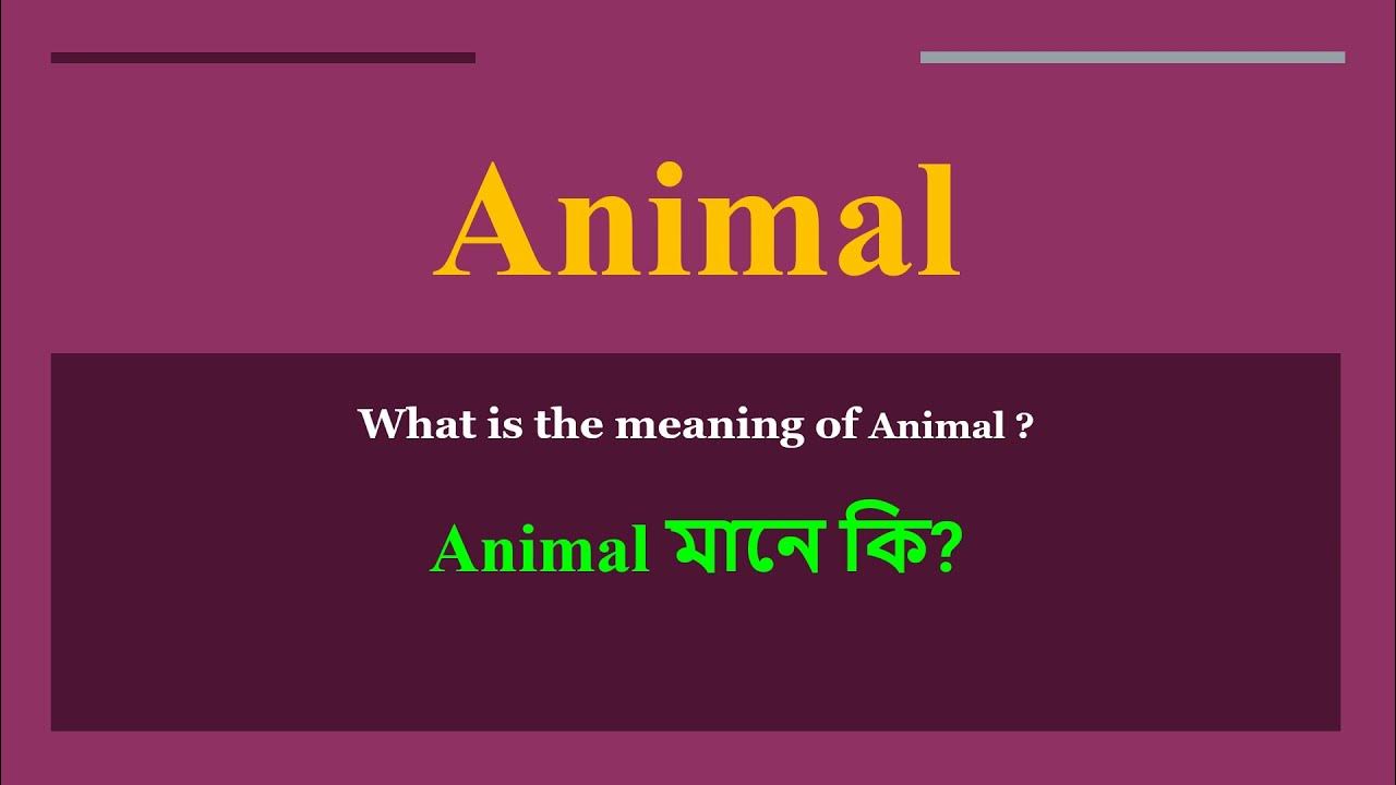 Animal meaning in Bengali | Animal mane ki | daily use English words -  YouTube