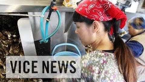 On The Line: Andrew Glazer Discusses Labor Exploitation