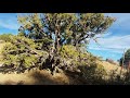 Walk in Puma Canyon, Pinon Hills, CA