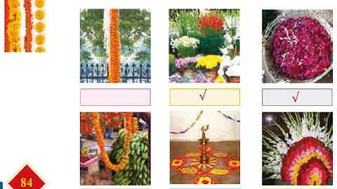 Std  4 Ch  11 In the Orchard  (Part 2)