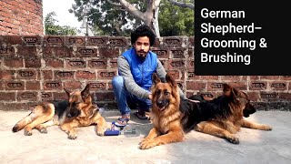 German Shepherd- Dogs- Grooming