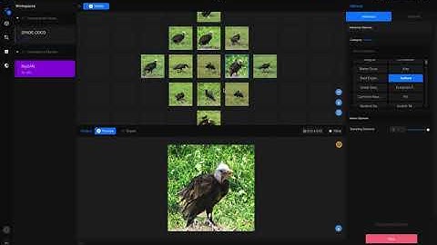 RunwayML Model Demo BigGAN (Conditional Image Generation/Synthesis)