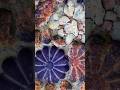 Deconstructed Daisy #asmrartist #oddlysatisfying #gymchalk #satisfying