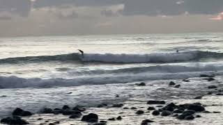Tappa’s surf report 7/8/25 @tappateecetv 