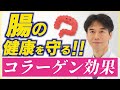 腸の健康が全身に影響！リーキーガット改善にコラーゲンが効果的な医学的根拠