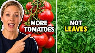 Grow Lots of Tomatoes... Not Leaves | The Old Amish Way