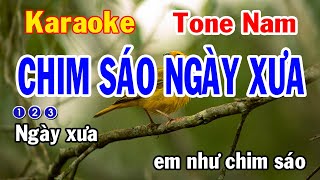 Chim Sáo Ngày Xưa Karaoke Tone Nam - Cha Cha Cha Dễ Hát - Nhạc Sống - Nhật Dũng KB