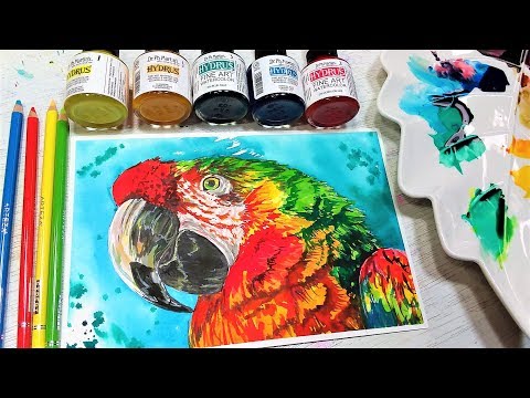 LIVE! Colorful Bird in watercolor & optional pencil