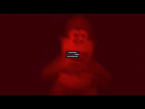 Preview 2 BonziBUDDY Raging