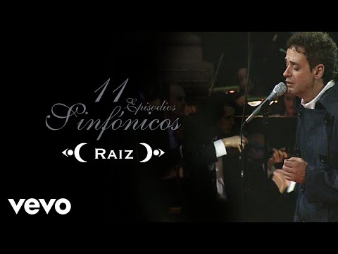 Gustavo Cerati - Raíz