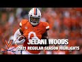 Jelani Woods 2021 Regular Season Highlights | Virginia TE