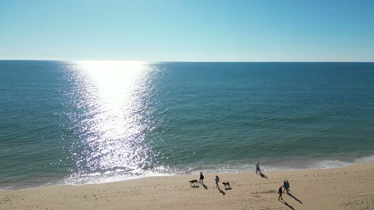 Gale mit den Hunden III