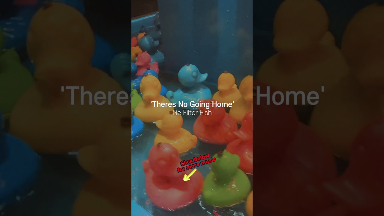 Guarda 022 10 Ge Filter Fish Theres No Going Home #musicaljourney #indievibes su YouTube Guarda 022 10 Ge Filter Fish Theres No Going Home #musicaljourney #indievibes su YouTube