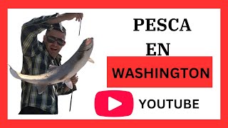 FISHING DAY IN COUGAR WASHINGTON by MAARIOX 62 views 3 months ago 4 minutes, 3 seconds