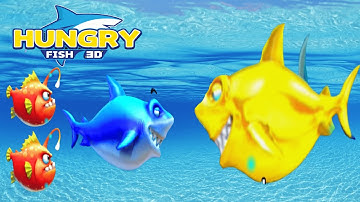 Hungry Fish 3D Evolution Gameplay Walkthrough Part 9 ~ All Gameplay Levels New Update Android & iOS