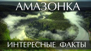 Река Амазонка - Интересные факты