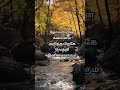 தோல்வி தெரிந்தால் தான் வெற்றி இனிமை || Tamil Motivation Quote #shorts