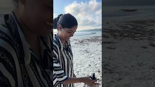 Watch this before collecting “SEA SHELLS” 🐚❤️ #shorts #ashortaday #gowtisowbi