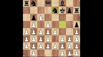 #chess #chessgrandmaster #chesss #chessplayer #chessman #chessmaster #chessmates