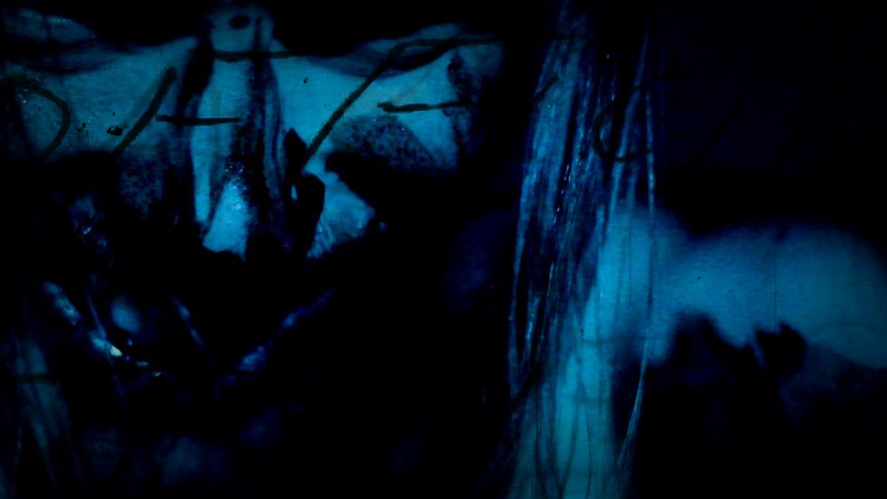 Gizmo - Arachnids (OFFICIAL MUSIC VIDEO)