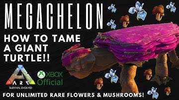 Giant Turtle (Megachelon) taming! Official Server!