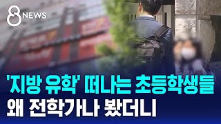'지방 유학' 떠나는 초등학생들…왜 전학가나 봤더니 / SBS 8뉴스