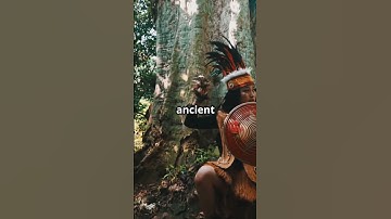 The Bizarre Mystery of Michael Rockefeller’s Disappearance