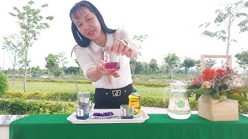 Thí nghiệm sự đổi màu của hoa đậu biếc- Dương Thị Ngọc Bích- Trường MN Tân Hội