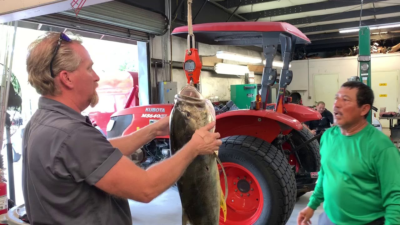 New bow fishing world record jack crevalle