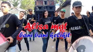SASAQ BANI BANI KELIKIT PERSI ALISA MGT LIVE RANGGAGATE