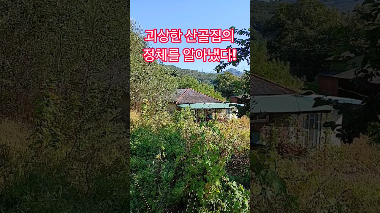 괴상한 산골집의 정체를 알아냈다! 재미있는 shorts 시골집 옛날집 여행 부동산 부자집 빈집 멋진산