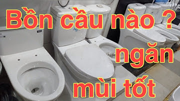 Cách chọn bồn cầu để ngăn mùi hiệu quả | Dang Thanh Huan