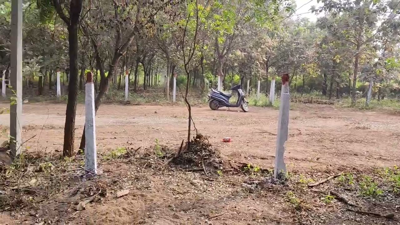 480 Sq.Yds Open Plot for Sale | 8 km from Batasingaram Vijayawada Highway | 40 ft Road | HYDERABAD 