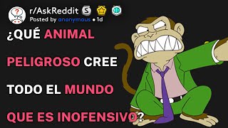 ¿Qué es un animal peligroso que todo el mundo considera inofensivo? (r/AskReddit Español)