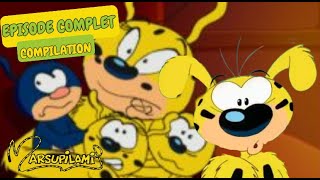 Le marsupilami sauve sa famille | Compilation | Marsupilami en Français