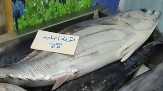 تعرف علي سمكة التونه الاصلية. ?. 