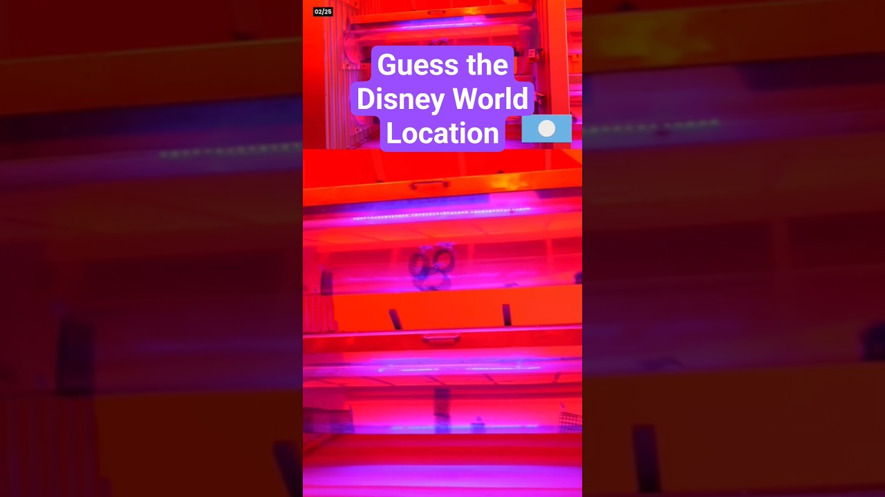 #disneyworldquiz time! where was this photo taken? #disneyworld #geoguessing #waltdisneyworld