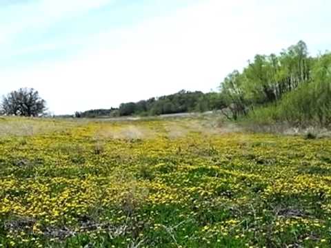 2020 Payette Drive, McCall, ID home video tour