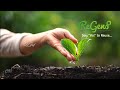 🌳🌧️ ReGenf Elegant Theme Intro 🌎Never Refuse To ReUse / Say "Yes" to ReUse @ReGenF