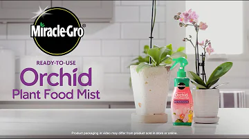 ¿Puedo aplicar Miracle Grow a mi orquídea?