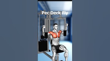 FULL BODY WORKOUT AT GYM - EFFECTIVE EXERCISES ( WE GO GYM )