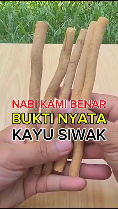 KISAH NABI: MUKJIZAT NYATA NABI MUHAMMAD SAW #kisahnabimuhammad #kisahislami #feedshorts
