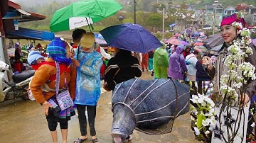 Chợ phiên Bắc Hà ngày mưa gió, nơi tập hợp thảo dược đồ núi rừng và ẩm thực ngon nhất tây bắc