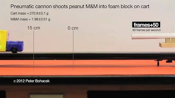 Examples of Direct Measurement Physics Videos