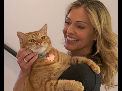 Crazy Cat Lady | Official Trailer