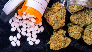 Radicle Health Summer Lecture Series: Opioid-Sparing Effects of Cannabinoids