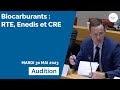 Biocarburants  audition de rte denedis et de la cre