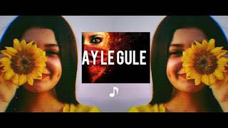 Ay Le Gule - Kurdish Trap Remix / Feat. Gazin Resimi