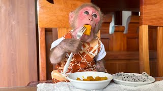 Super monkey Bibi eats his own breakfast and takes care of the chickens!