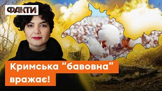 Українці ЧЕКАЮТЬ ЗСУ, росіяни стоять У ЗАТОРАХ до Росії — що коїться У КРИМУ СЬОГОДНІ